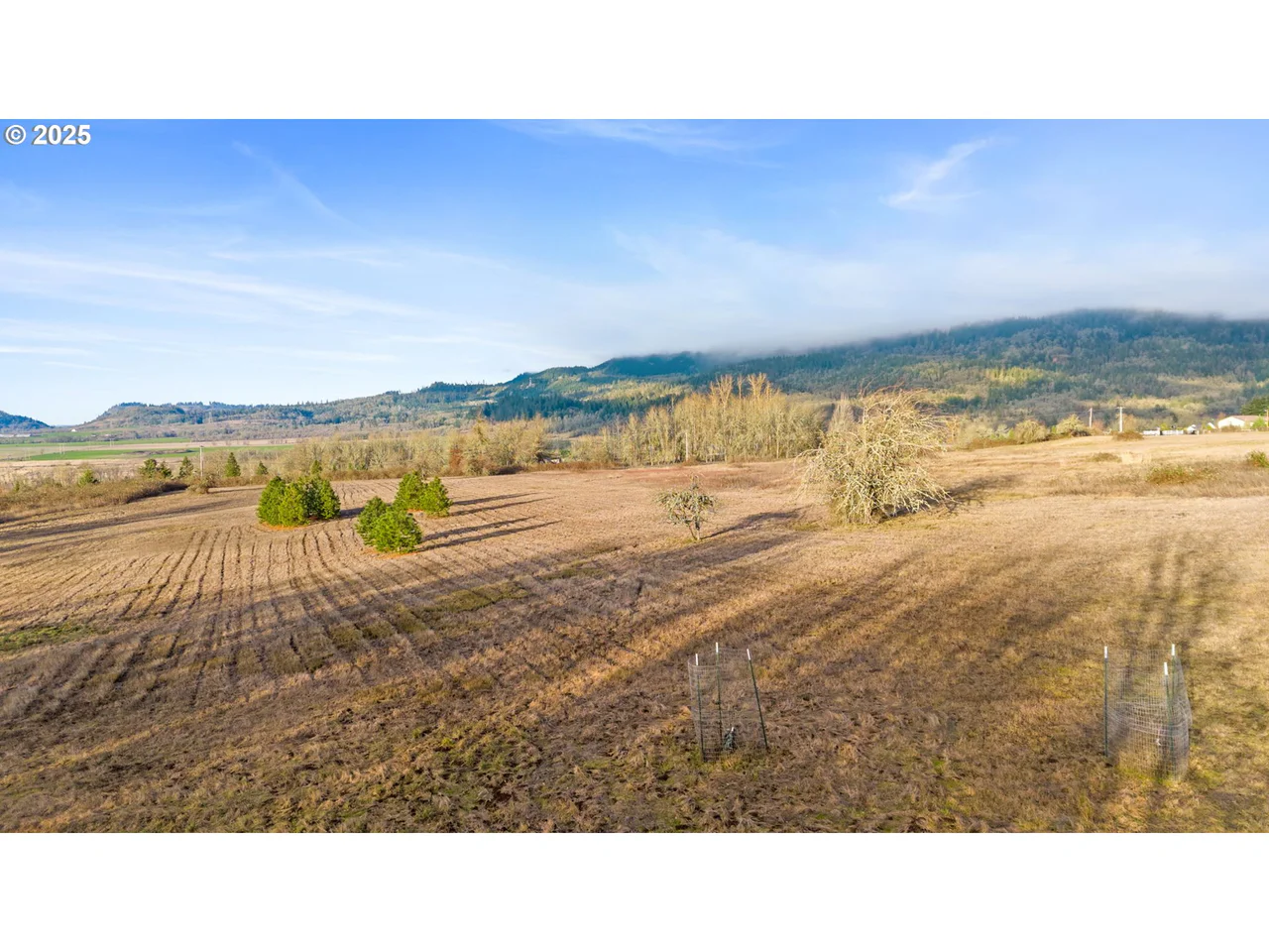 Diamond Ridge LOOP, Eugene, OR 97408, photo 4 of 16