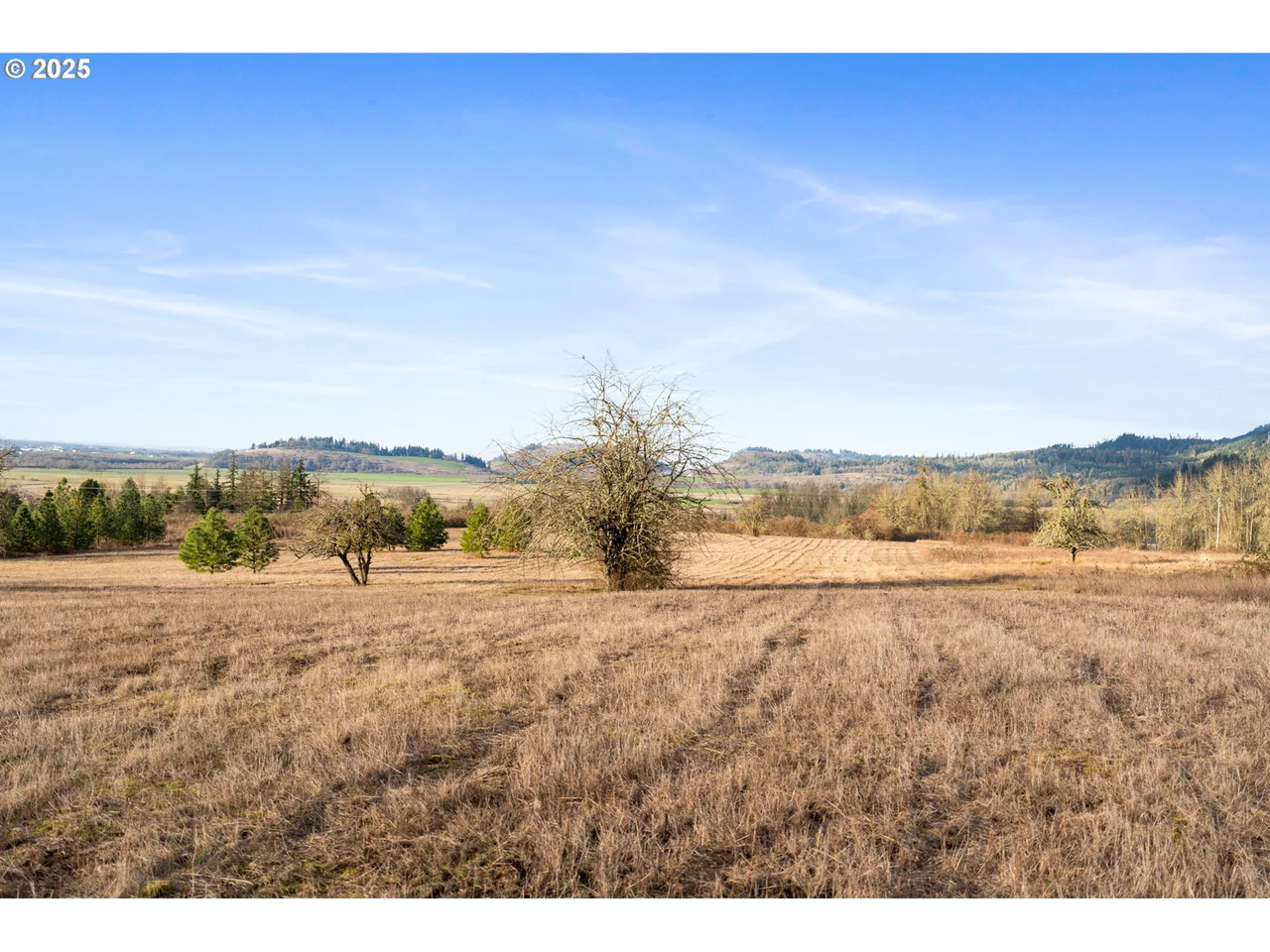 Diamond Ridge LOOP, Eugene, OR 97408, photo 5 of 16