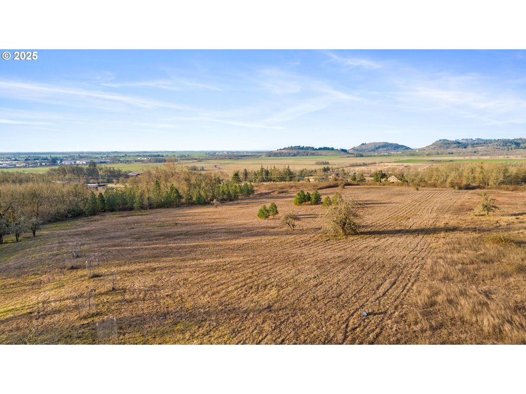 Diamond Ridge LOOP