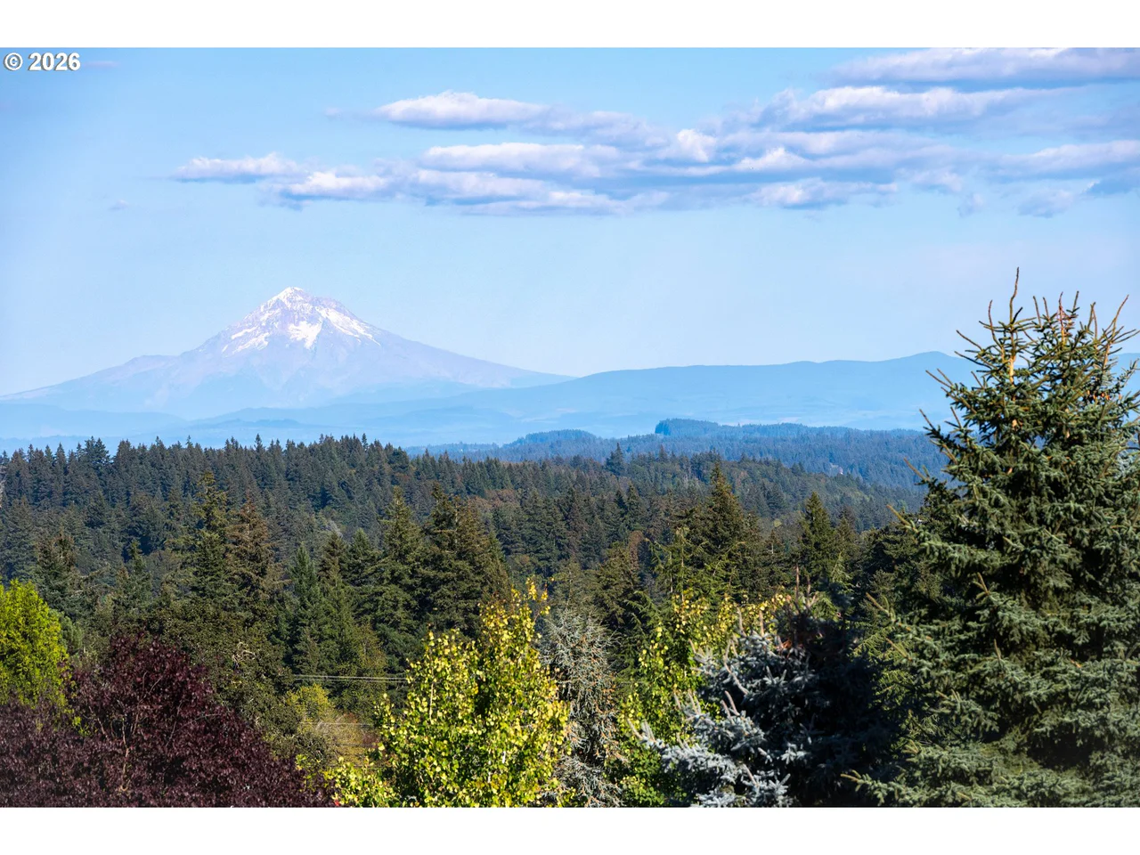 28605 SW PETES MOUNTAIN RD, West Linn, OR 97068, photo 4 of 13