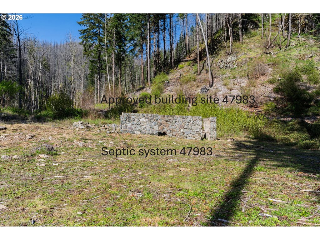 47983 Mckenzie Hwy