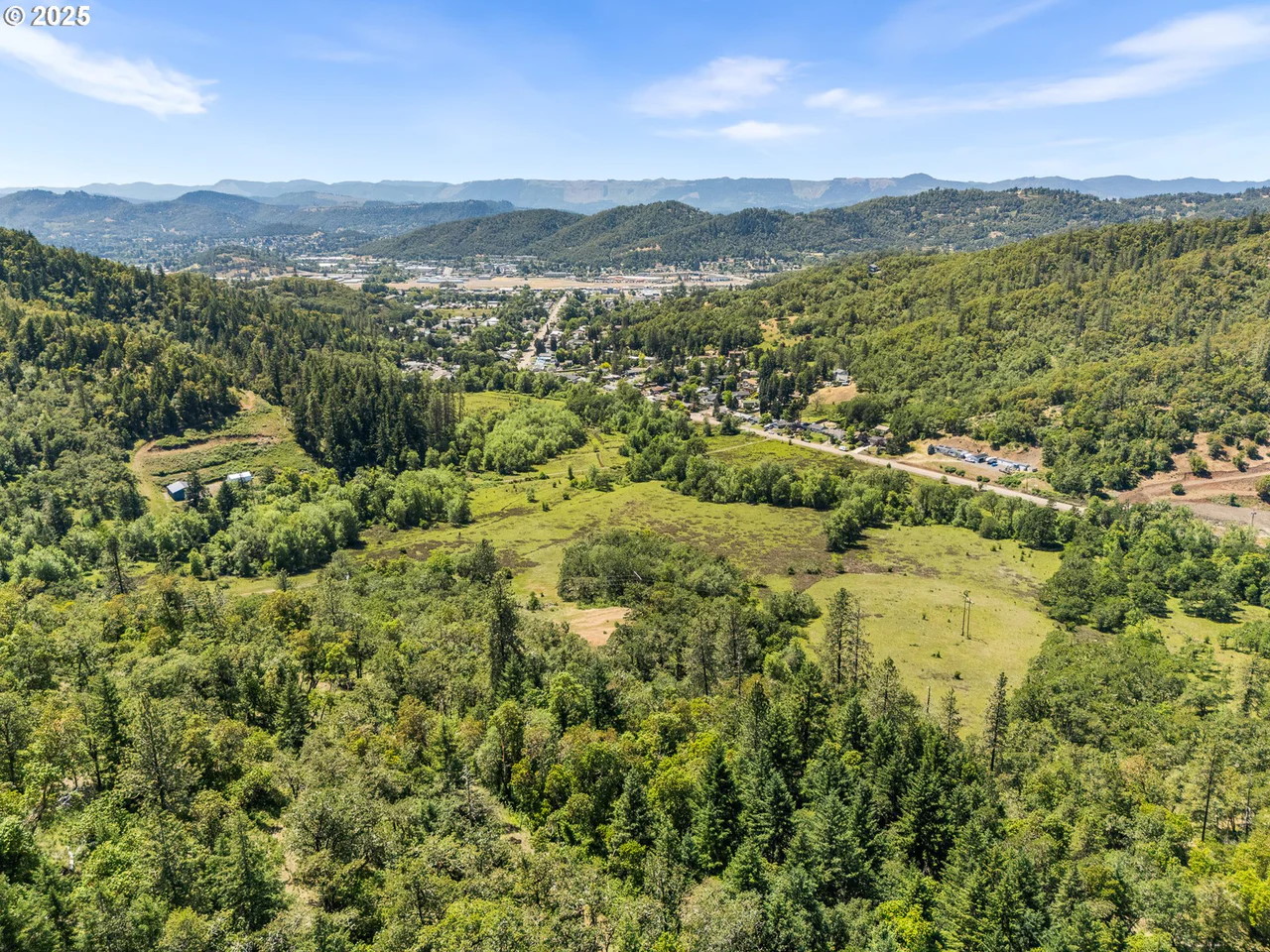 NE NEWTON CREEK DR, Roseburg, OR 97470, photo 4 of 17