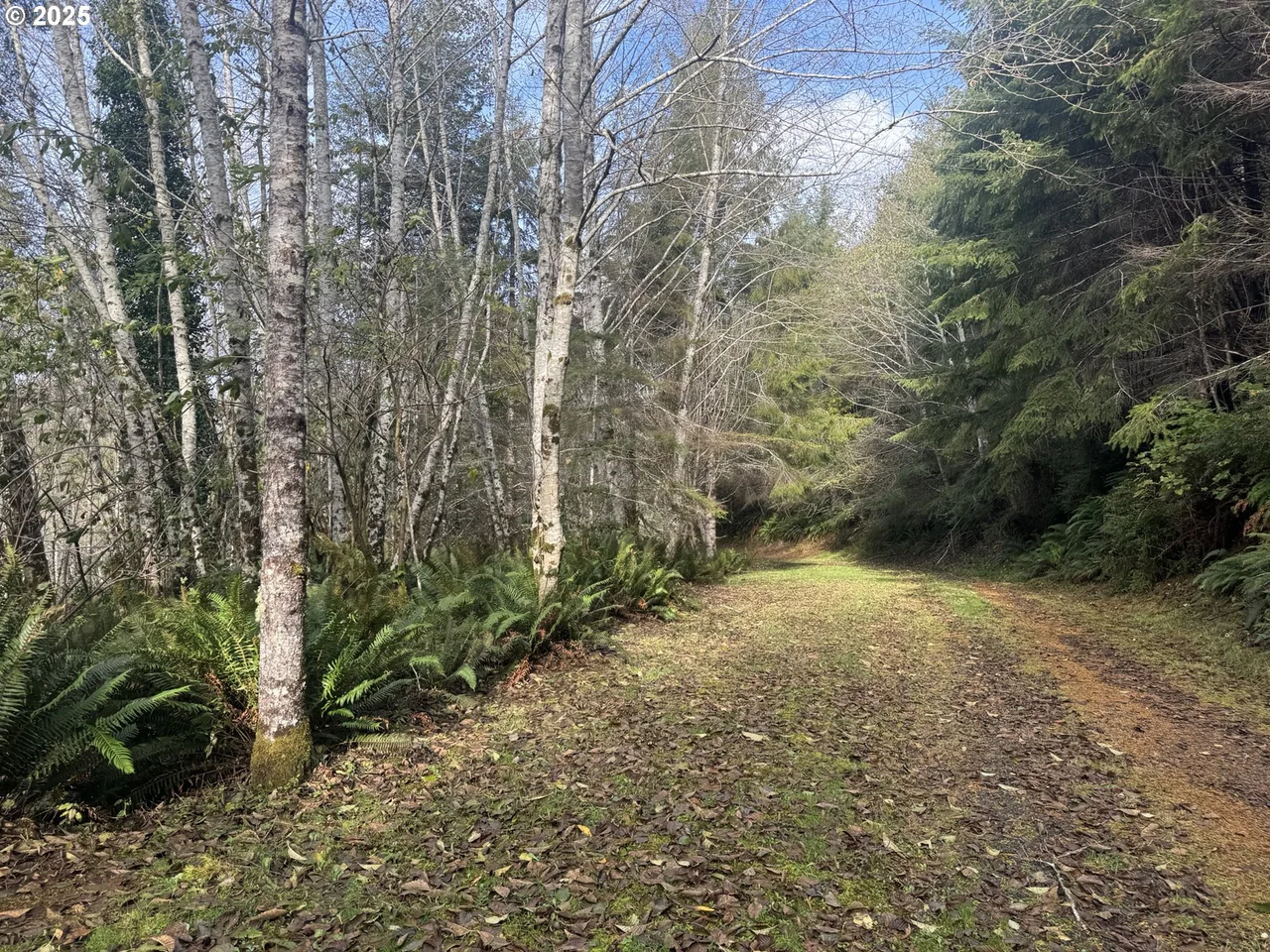 3 POTATO BOTTOM RD 604, Lakeside, OR 97449, photo 5 of 19