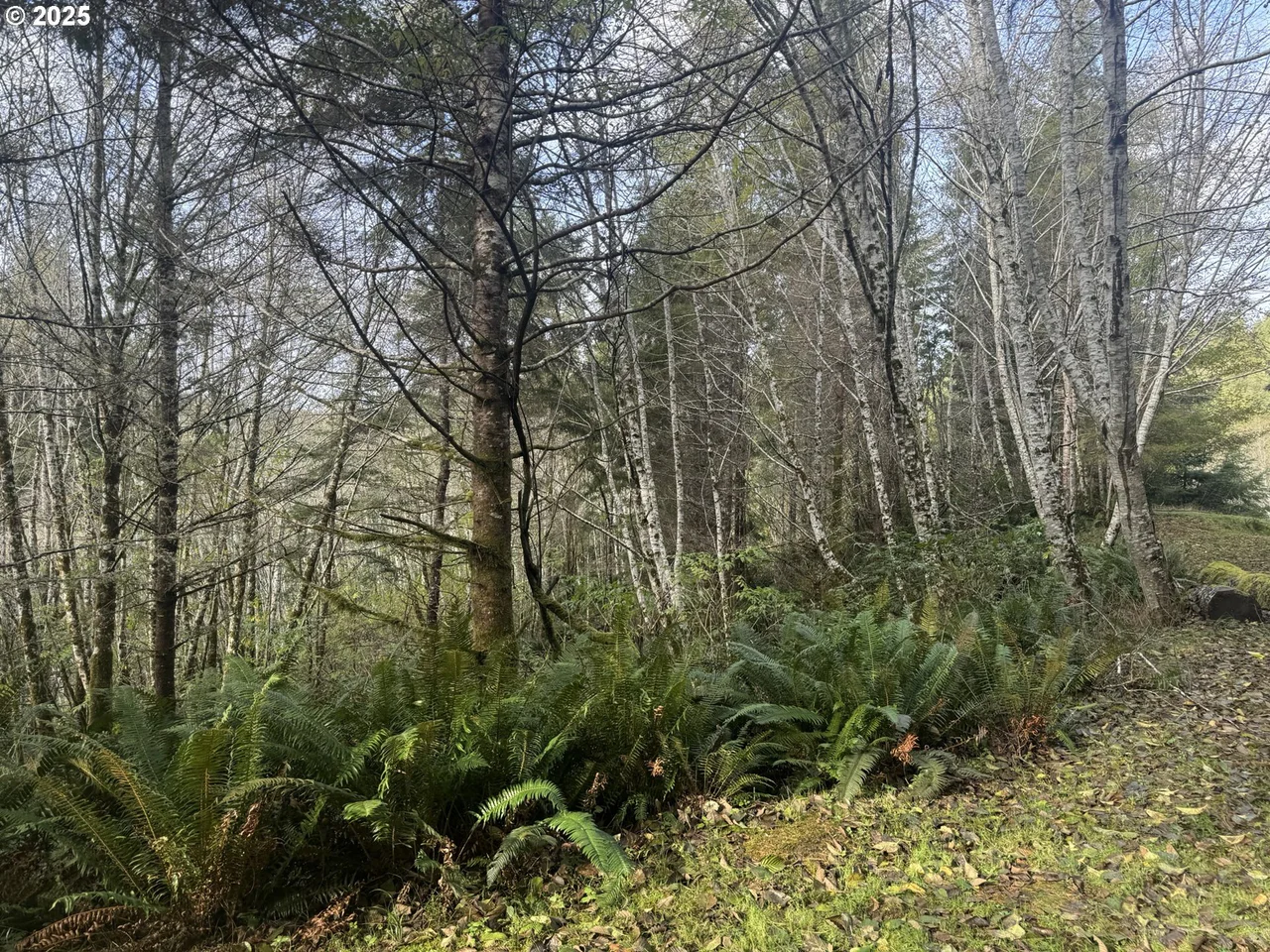 3 POTATO BOTTOM RD 604, Lakeside, OR 97449, photo 6 of 19