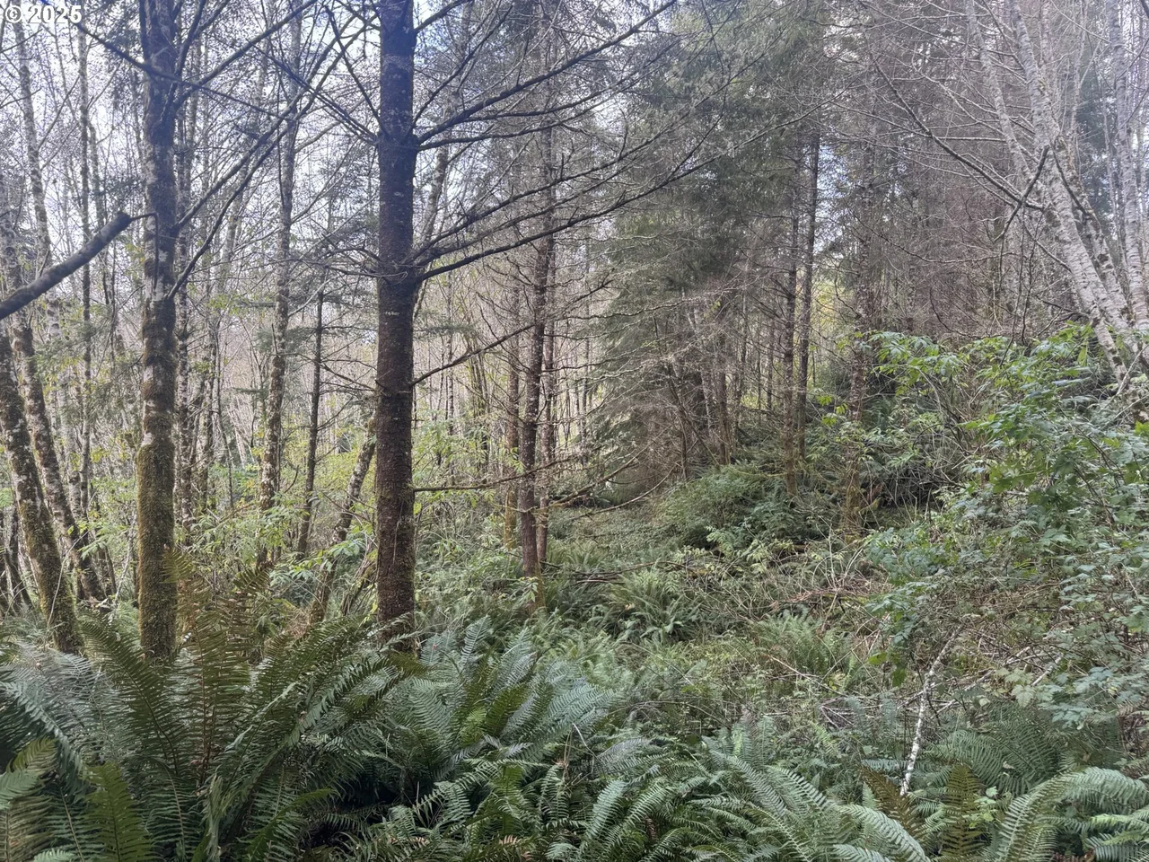 3 POTATO BOTTOM RD 604, Lakeside, OR 97449, photo 8 of 19