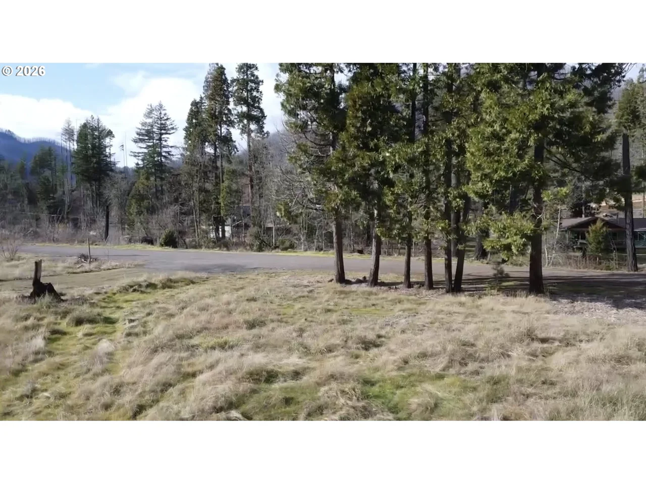 51800 ROSE ST 2, Blue River, OR 97413, photo 2 of 8