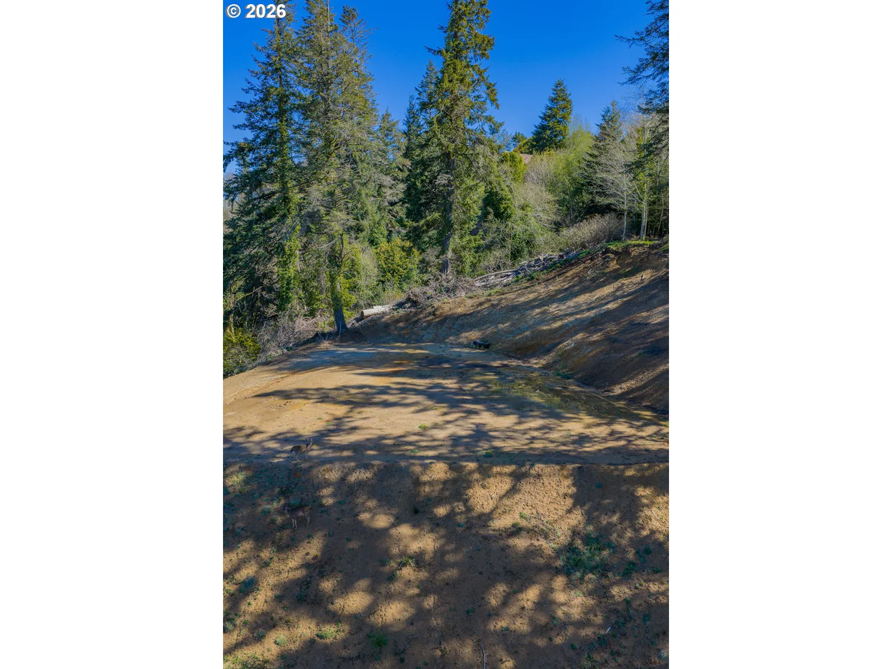 63539 Andrews RD, Coos Bay, OR 97420, photo 3 of 13