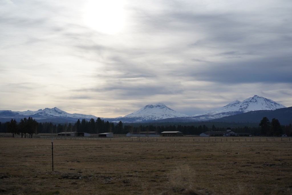 Land for sale in Eugene, Oregon