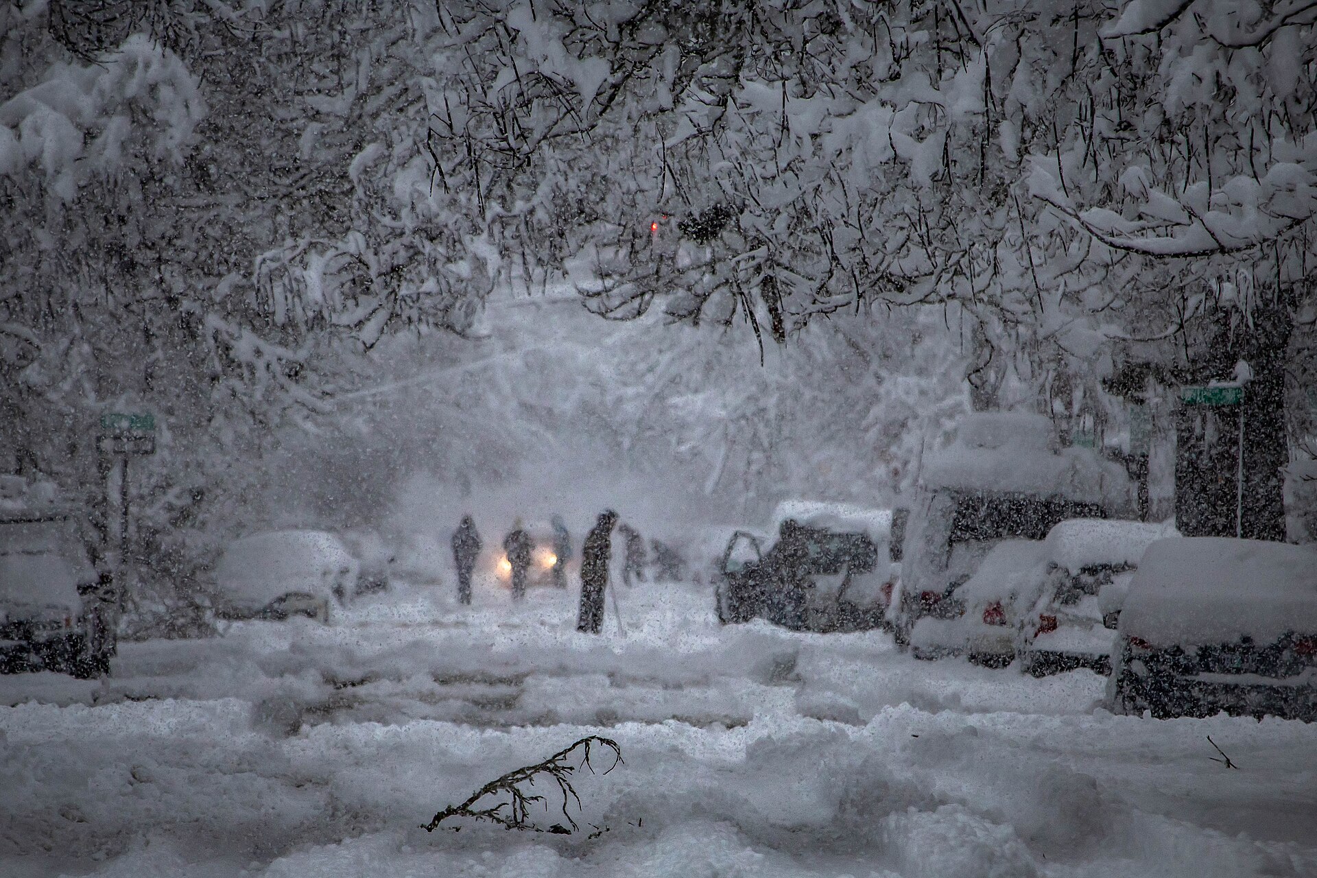Does It Snow in Eugene, Oregon?