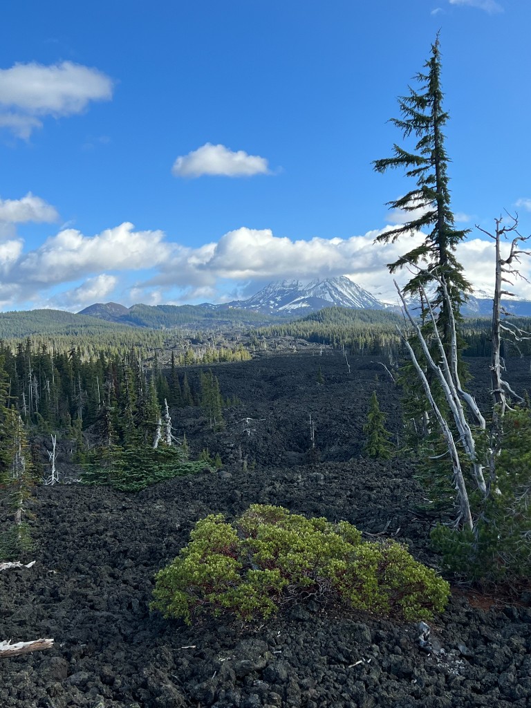 McKenzie lava landscape, not a specific McKenzie Bridge street