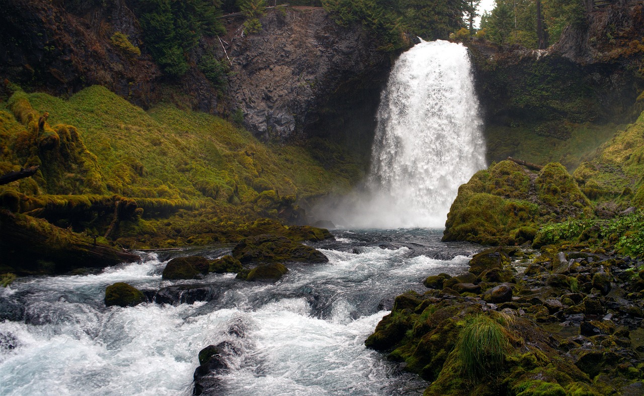 Waterfalls Near Eugene, Oregon: Choose Your Day Trip